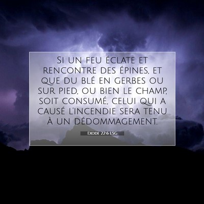 Exode 22:6 LSG Image du verset biblique