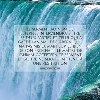 Exode 22:11 LSG Image du verset biblique