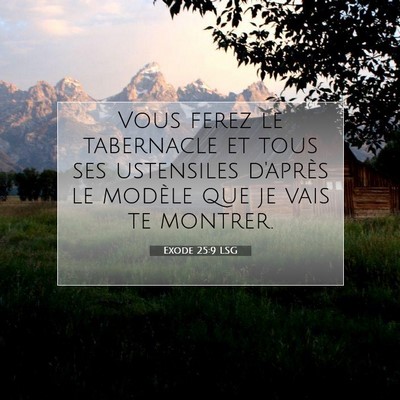 Exode 25:9 LSG Image du verset biblique