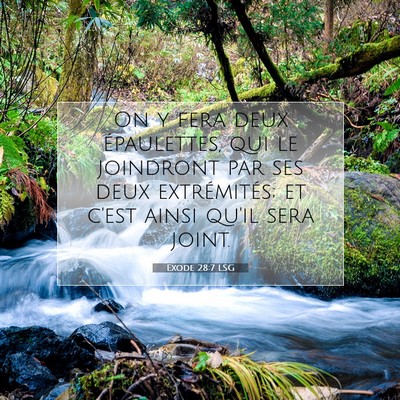 Exode 28:7 LSG Image du verset biblique