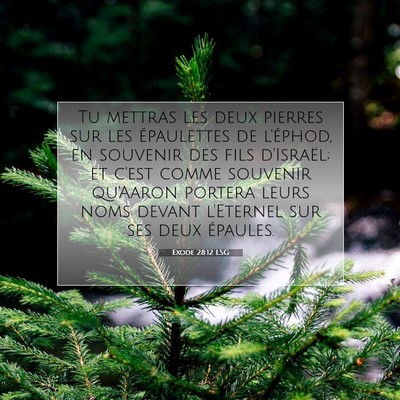 Exode 28:12 LSG Image du verset biblique