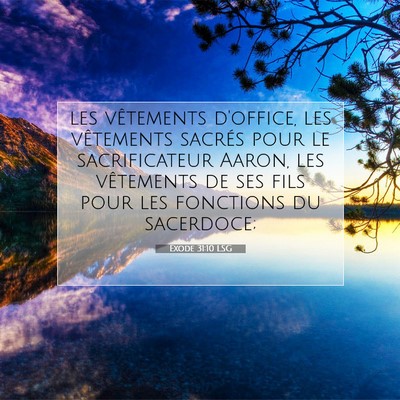 Exode 31:10 LSG Image du verset biblique