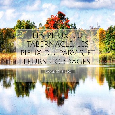 Exode 35:18 LSG Image du verset biblique