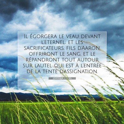 Lévitique 1:5 LSG Image du verset biblique