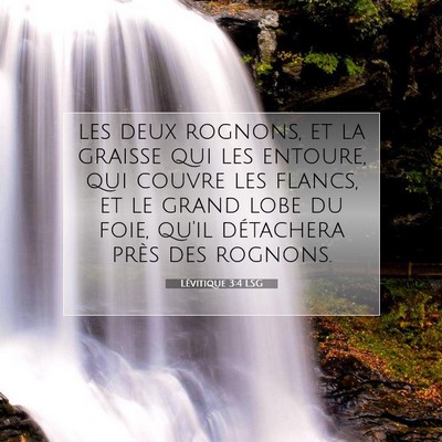 Lévitique 3:4 LSG Image du verset biblique