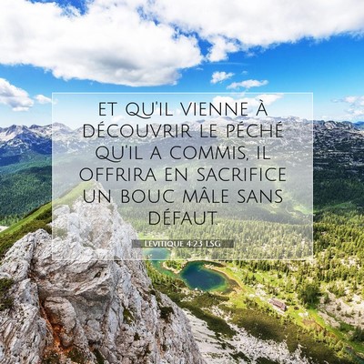 Lévitique 4:23 Verset biblique expliqué