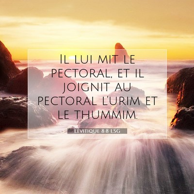 Lévitique 8:8 Verset biblique expliqué