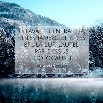 Lévitique 9:14 LSG Image du verset biblique