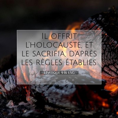 Lévitique 9:16 Verset biblique expliqué