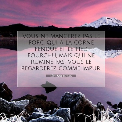 Lévitique 11:7 Verset biblique expliqué