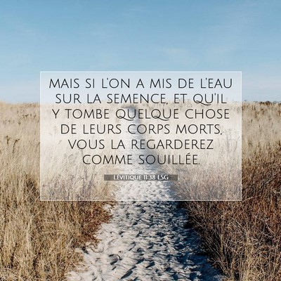 Lévitique 11:38 LSG Image du verset biblique