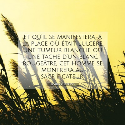 Lévitique 13:19 LSG Image du verset biblique