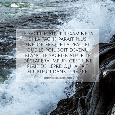 Lévitique 13:20 Verset biblique expliqué