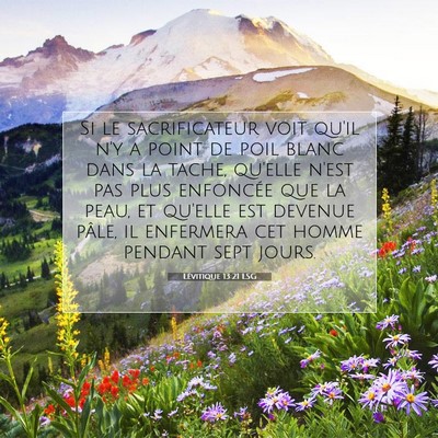 Lévitique 13:21 Verset biblique expliqué