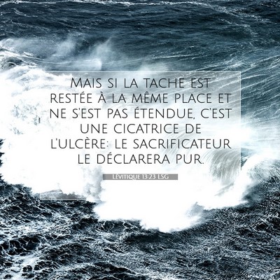 Lévitique 13:23 Verset biblique expliqué