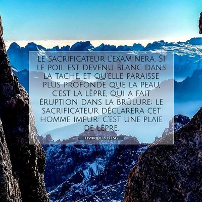 Lévitique 13:25 Verset biblique expliqué