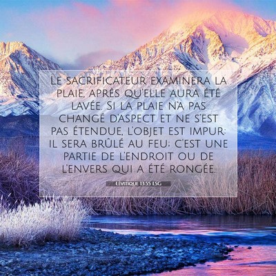 Lévitique 13:55 Verset biblique expliqué