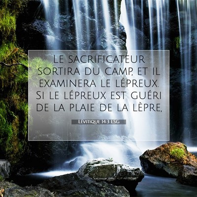 Lévitique 14:3 Verset biblique expliqué