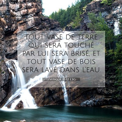 Lévitique 15:12 LSG Image du verset biblique