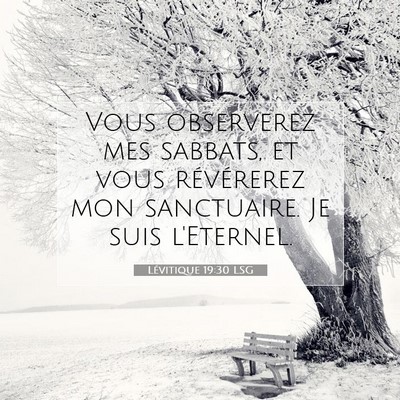 Lévitique 19:30 LSG Image du verset biblique