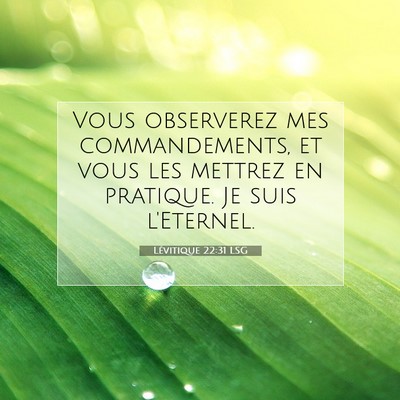 Lévitique 22:31 LSG Image du verset biblique