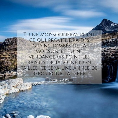 Lévitique 25:5 Verset biblique expliqué