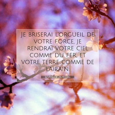 Lévitique 26:19 Verset biblique expliqué