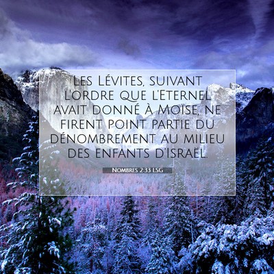 Nombres 2:33 LSG Image du verset biblique