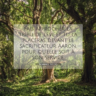 Nombres 3:6 LSG Image du verset biblique