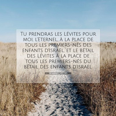 Nombres 3:41 LSG Image du verset biblique