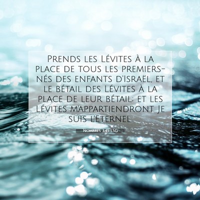 Nombres 3:45 LSG Image du verset biblique