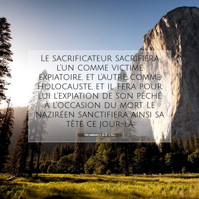 Nombres 6:11 LSG Image du verset biblique