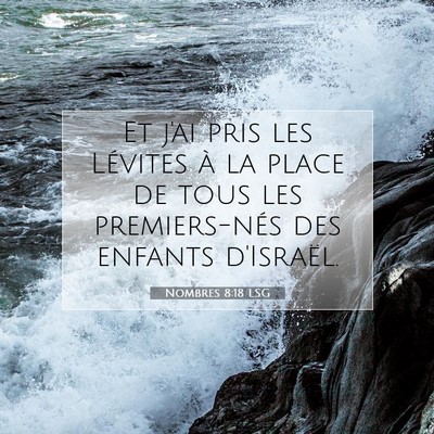 Nombres 8:18 LSG Image du verset biblique