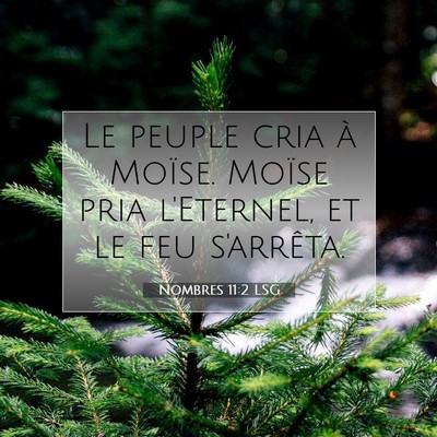 Nombres 11:2 LSG Image du verset biblique