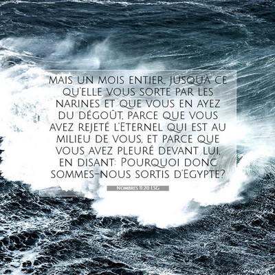 Nombres 11:20 LSG Image du verset biblique