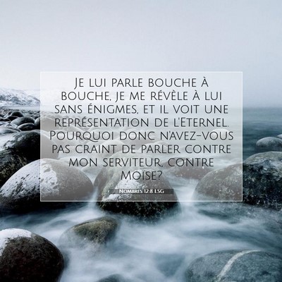 Nombres 12:8 LSG Image du verset biblique