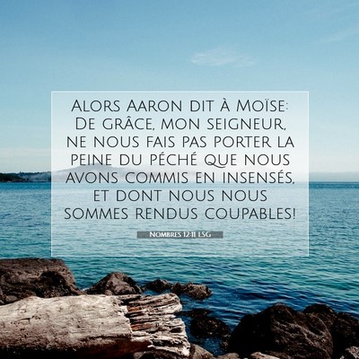 Nombres 12:11 LSG Image du verset biblique