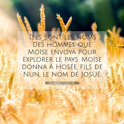 Nombres 13:16 LSG Image du verset biblique