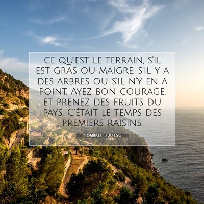 Nombres 13:20 LSG Image du verset biblique