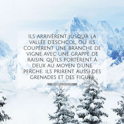 Nombres 13:23 LSG Image du verset biblique