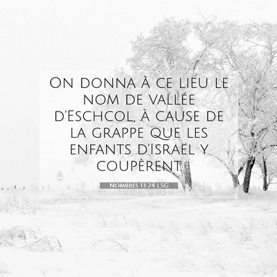 Nombres 13:24 LSG Image du verset biblique