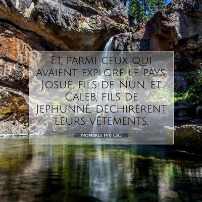 Nombres 14:6 LSG Image du verset biblique