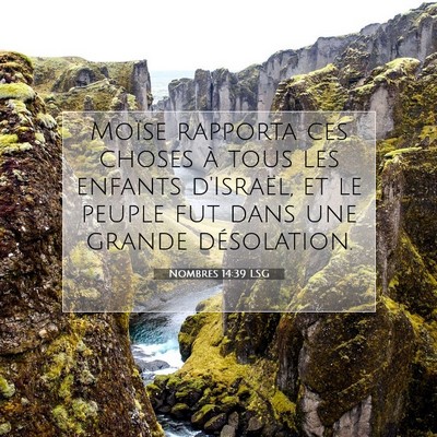 Nombres 14:39 LSG Image du verset biblique