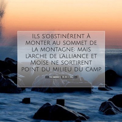 Nombres 14:44 LSG Image du verset biblique