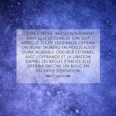 Nombres 15:24 LSG Image du verset biblique