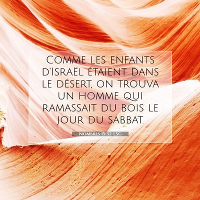 Nombres 15:32 LSG Image du verset biblique