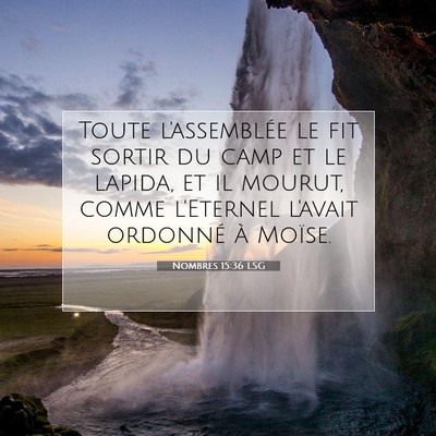 Nombres 15:36 LSG Image du verset biblique