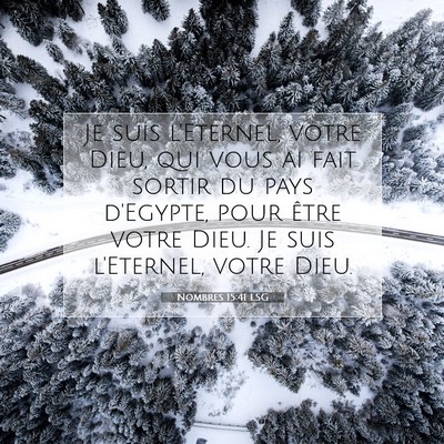 Nombres 15:41 LSG Image du verset biblique