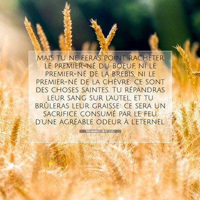 Nombres 18:17 Verset biblique expliqué