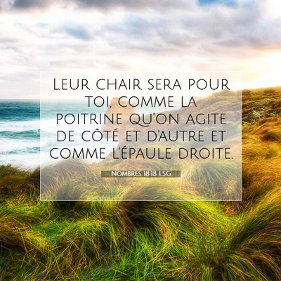 Nombres 18:18 LSG Image du verset biblique